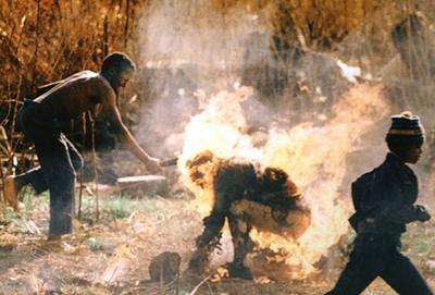 Лучшие фото мира, удостоенные «Пулитцеровской премии»