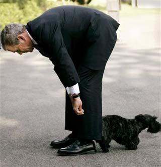 8-летнее правление Буша подходит к концу: фотоальбом не для всех