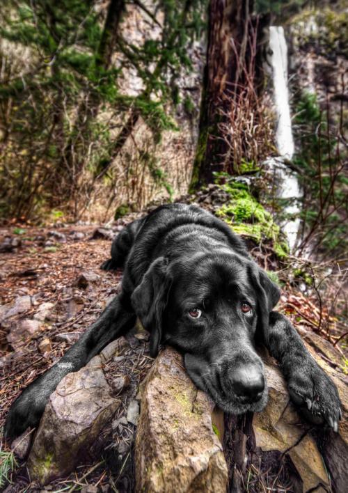 Лучше один раз увидеть: фантастические снимки HDR. Часть 2