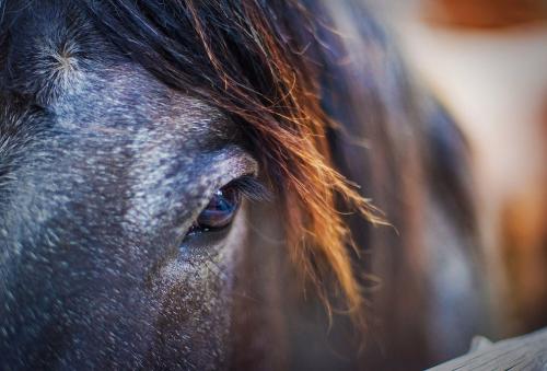 Лучше один раз увидеть: фантастические снимки HDR. Часть 2