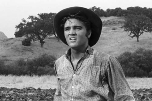 Знаменитости, чьи попытки сниматься в кино позорно провалились