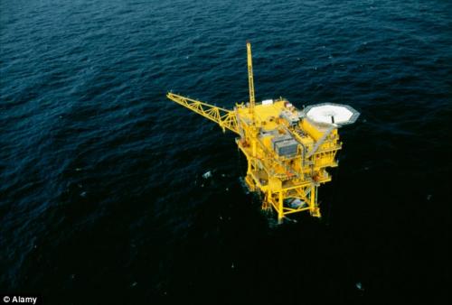 В Мексиканском заливе поймали гигантскую мокрицу