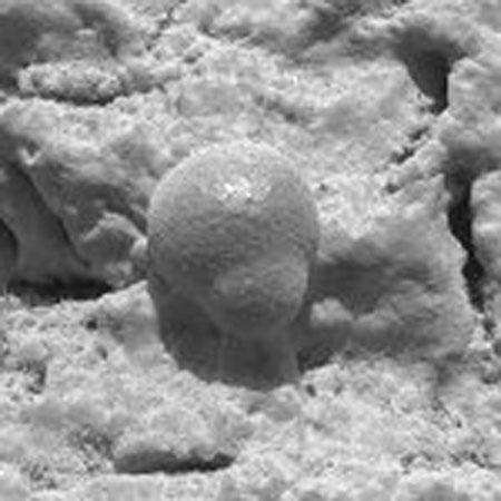 Cамые удивительные снимки НАСА: внутри Марса, рождение звезды и гольф на орбите