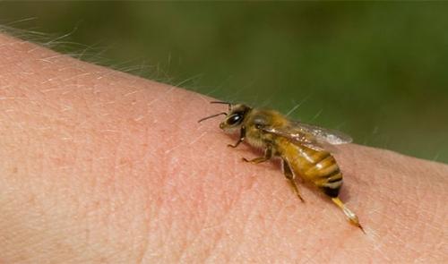 Каковы шансы умереть от того или иного бедствия