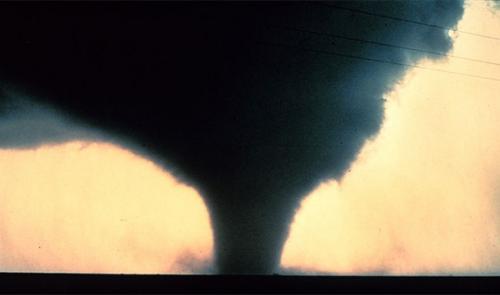 Каковы шансы умереть от того или иного бедствия