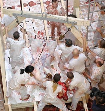 Оргии «Замка Прицендорф» привлекают сотни безумцев