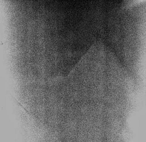 Невероятные фото, которым до сих пор не нашли объяснения