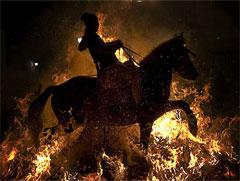 В Испании лошадей «очистили» огнём