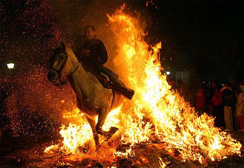 В Испании лошадей «очистили» огнём