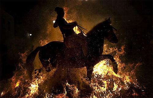 В Испании лошадей «очистили» огнём