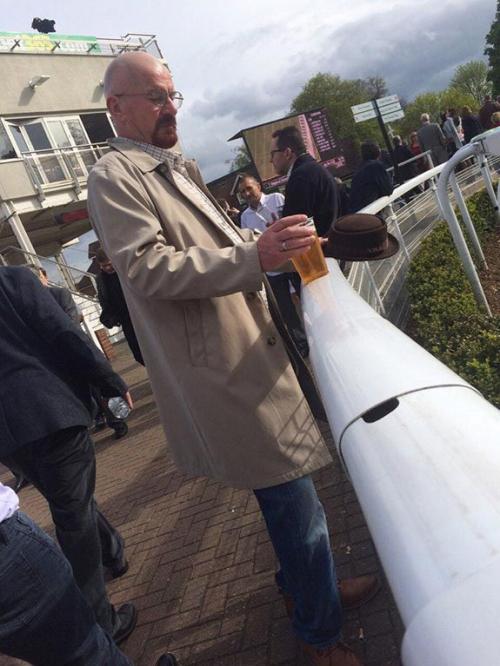 Двойники знаменитостей и популярных персонажей