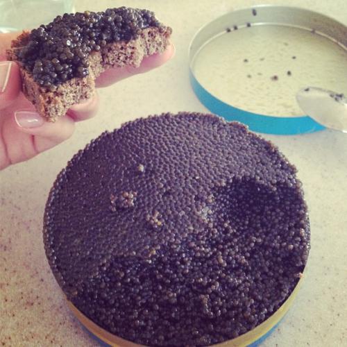 Модели, певицы и секси-доктор: жены и подруги футболистов РФ