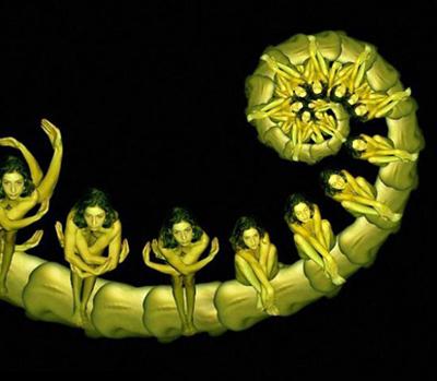 Девушки-цветы Сесилии Веббер