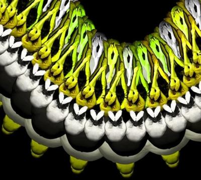 Девушки-цветы Сесилии Веббер