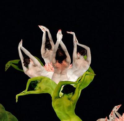 Девушки-цветы Сесилии Веббер