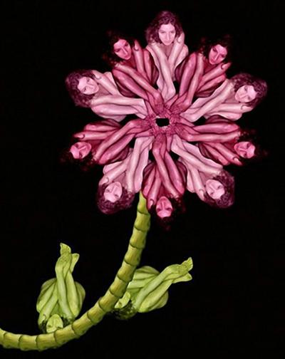 Девушки-цветы Сесилии Веббер