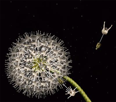 Девушки-цветы Сесилии Веббер