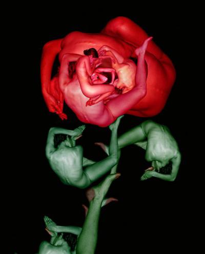 Девушки-цветы Сесилии Веббер