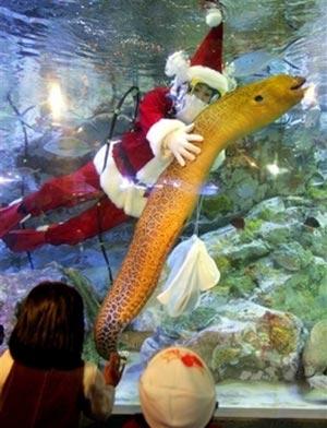 Санта-дайвер: необычный атракцион или промоушен ?