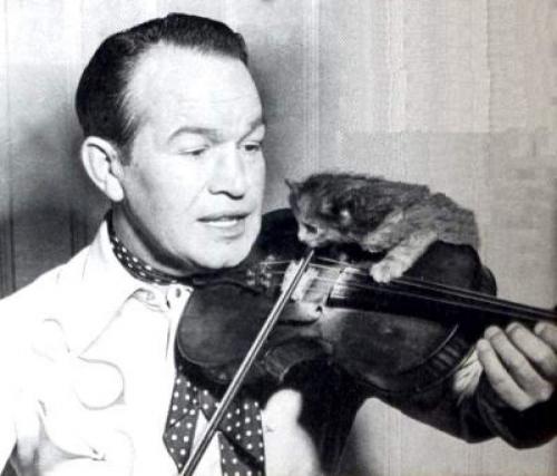 Звезды, которые умерли на глазах у сотен тысяч людей