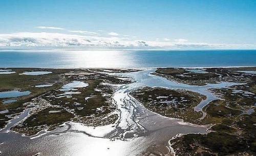 15-летняя девочка в одиночку выживала в тундре две недели