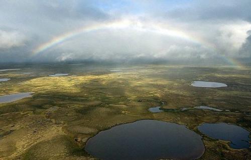 15-летняя девочка в одиночку выживала в тундре две недели