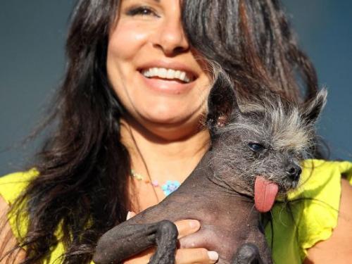 Конкурс на звание самой уродливой в мире собаки