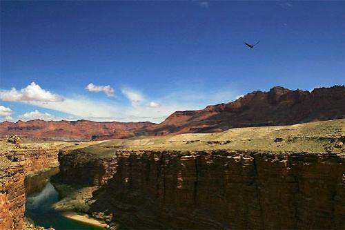 Американские власти  затопили знаменитый Гранд-каньон