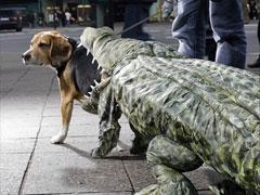 Крокодил "проглотил" собаку ради рекламы