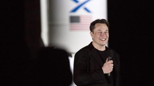 Звезды, которые не боятся коронавируса