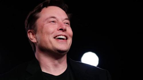 Звезды, которые не боятся коронавируса