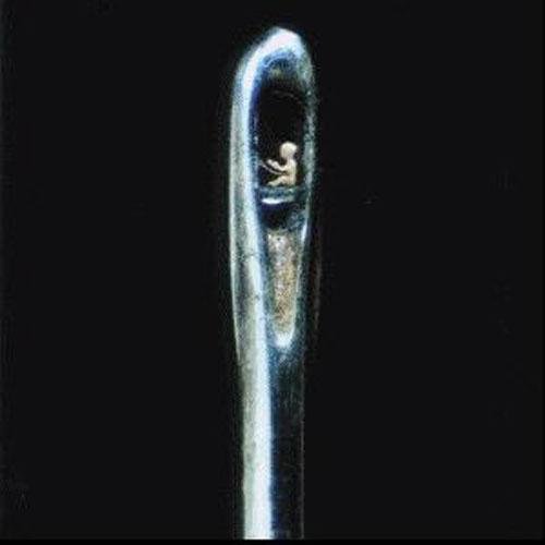 На что способны современные "левши" мира