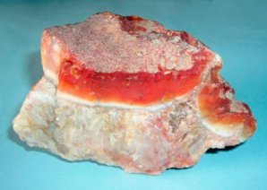 Самые абсурдные дорогие вещи в мире