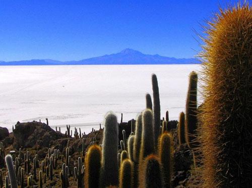 Самое большое зеркало в мире