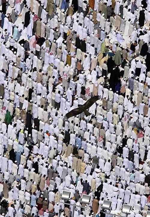 Хадж: 1,5 млрд паломников на крошечном островке Мекки