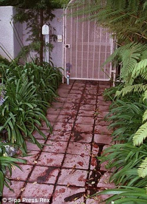 Шесть самых жутких убийств 20 века в Голливуде