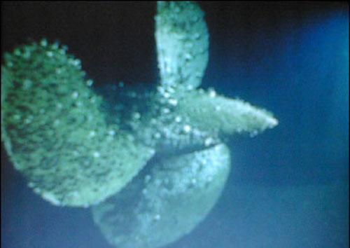 "Ямато" — самая большая в мире модель корабля