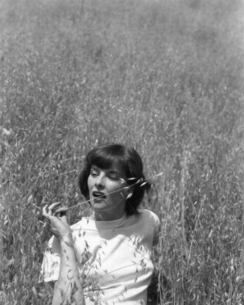 Редкие фотографии всемирно известных звезд. Часть 12