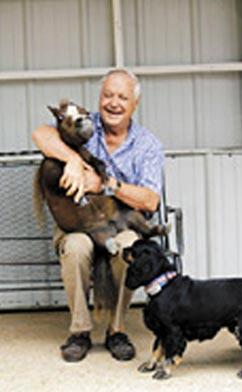 Самая маленькая лошадь в мире 44 см в холке