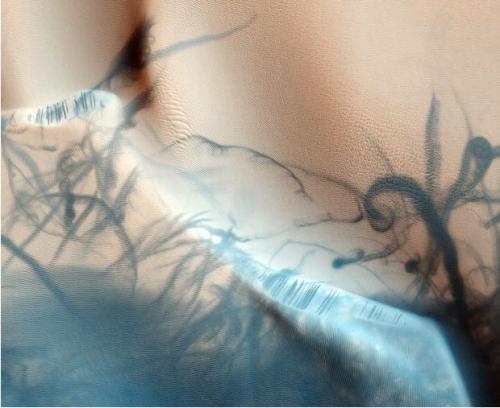 Уникальные космические снимки Марека Кукулы