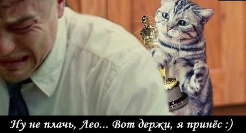 Бедный Лео: интернет взорвался мемами о проигрыше Ди Каприо