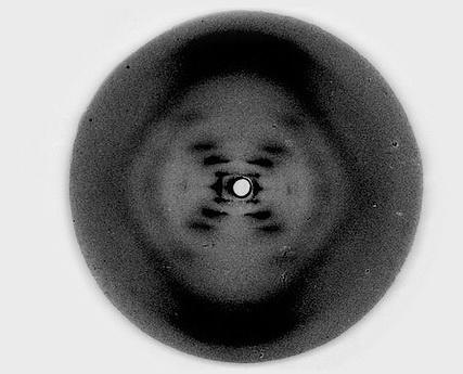 13 главных изображений 
в истории науки