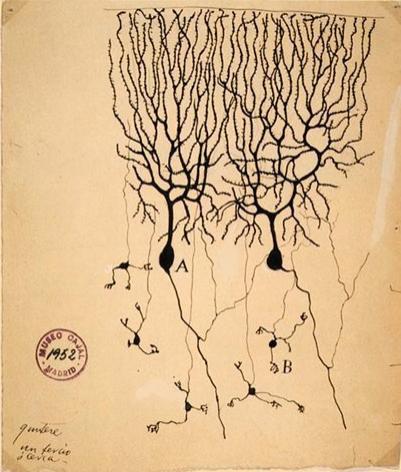 13 главных изображений 
в истории науки