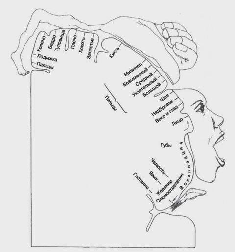 13 главных изображений 
в истории науки