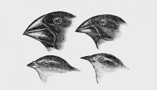 13 главных изображений 
в истории науки