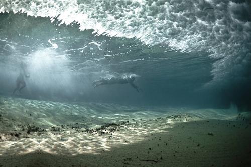 Подводный проект Марка Типпла