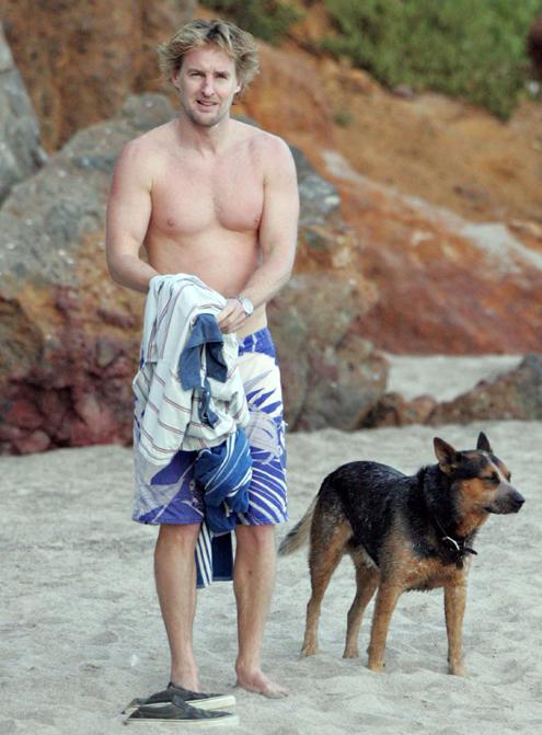 Собаки звезд и их знаменитые хозяева