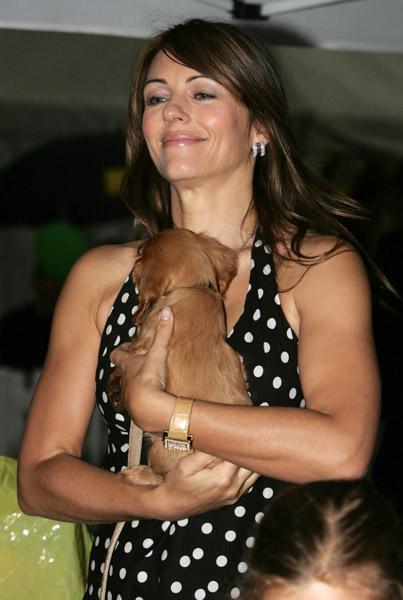 Собаки звезд и их знаменитые хозяева