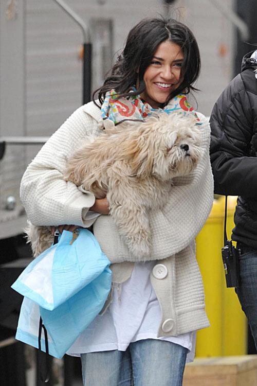 Собаки звезд и их знаменитые хозяева