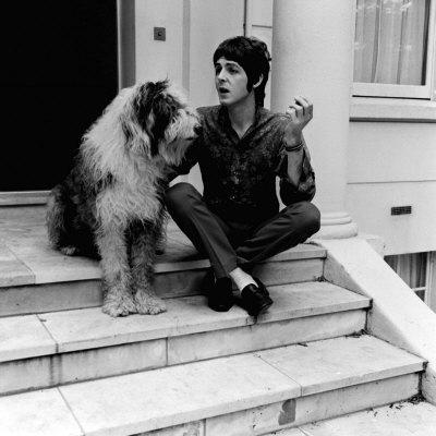 Собаки звезд и их знаменитые хозяева